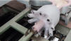 Introducing molten aluminum for casting